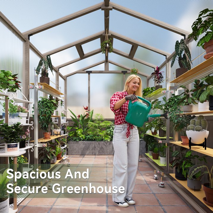 AOXUN 6' x 10' Outdoor Cedar Wood Greenhouse, Walk-in Greenhouse with Adjustable Roof Vent and Lockable Door