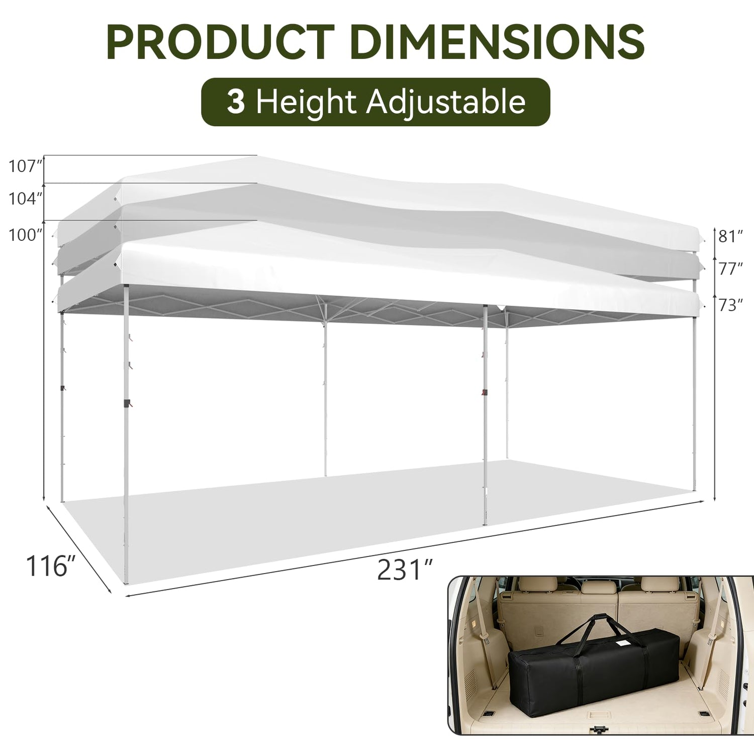 Aoxun 10x20 Pop Up Canopy