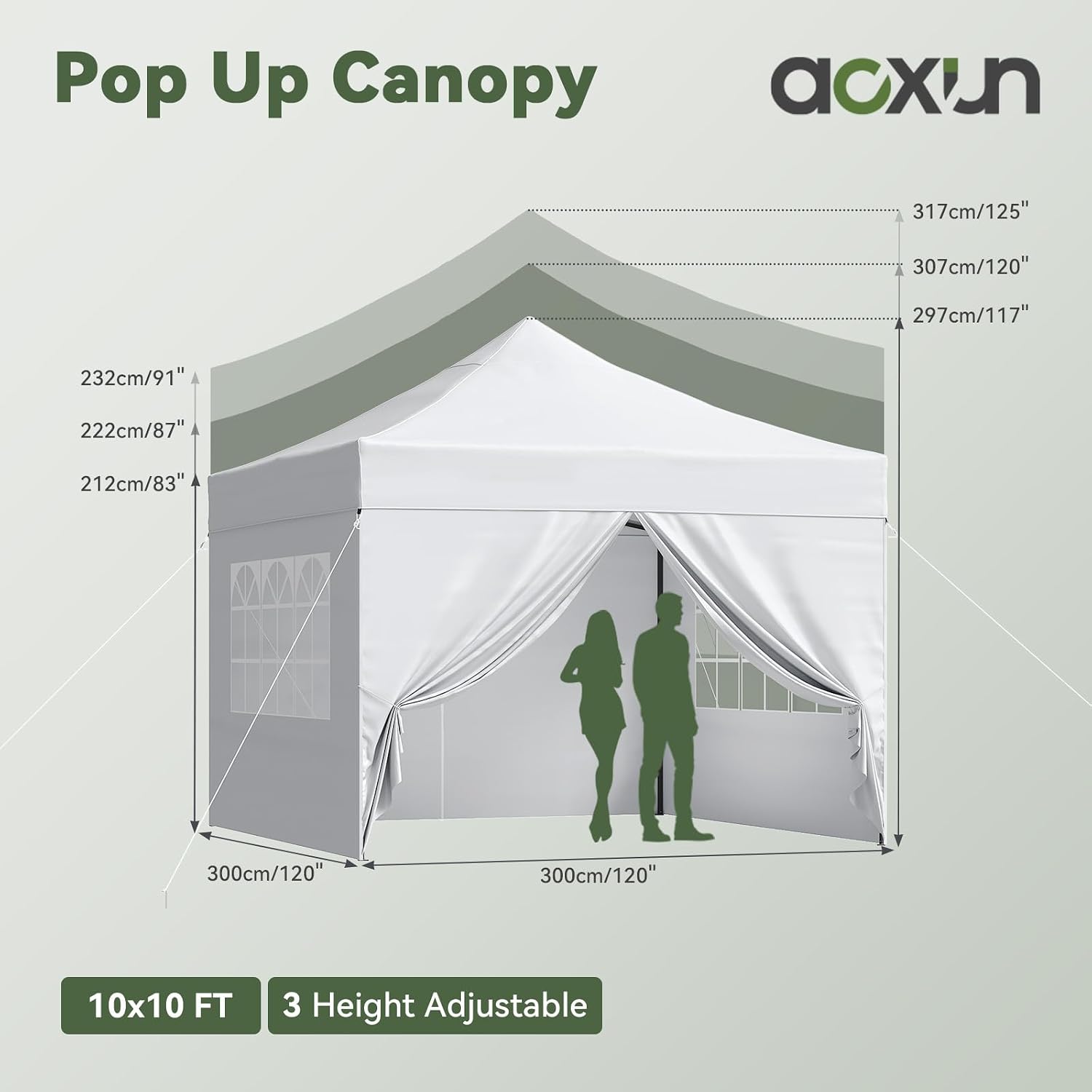 Aoxun 10x10 Pop up Canopy