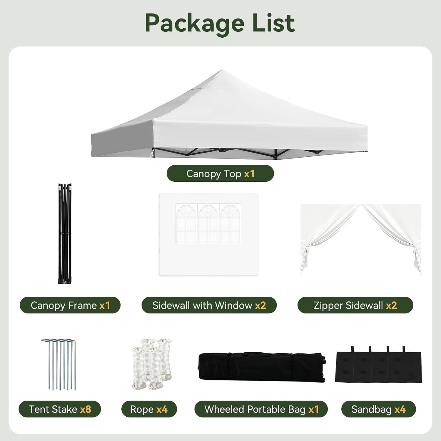 Aoxun 10x10 Pop up Canopy