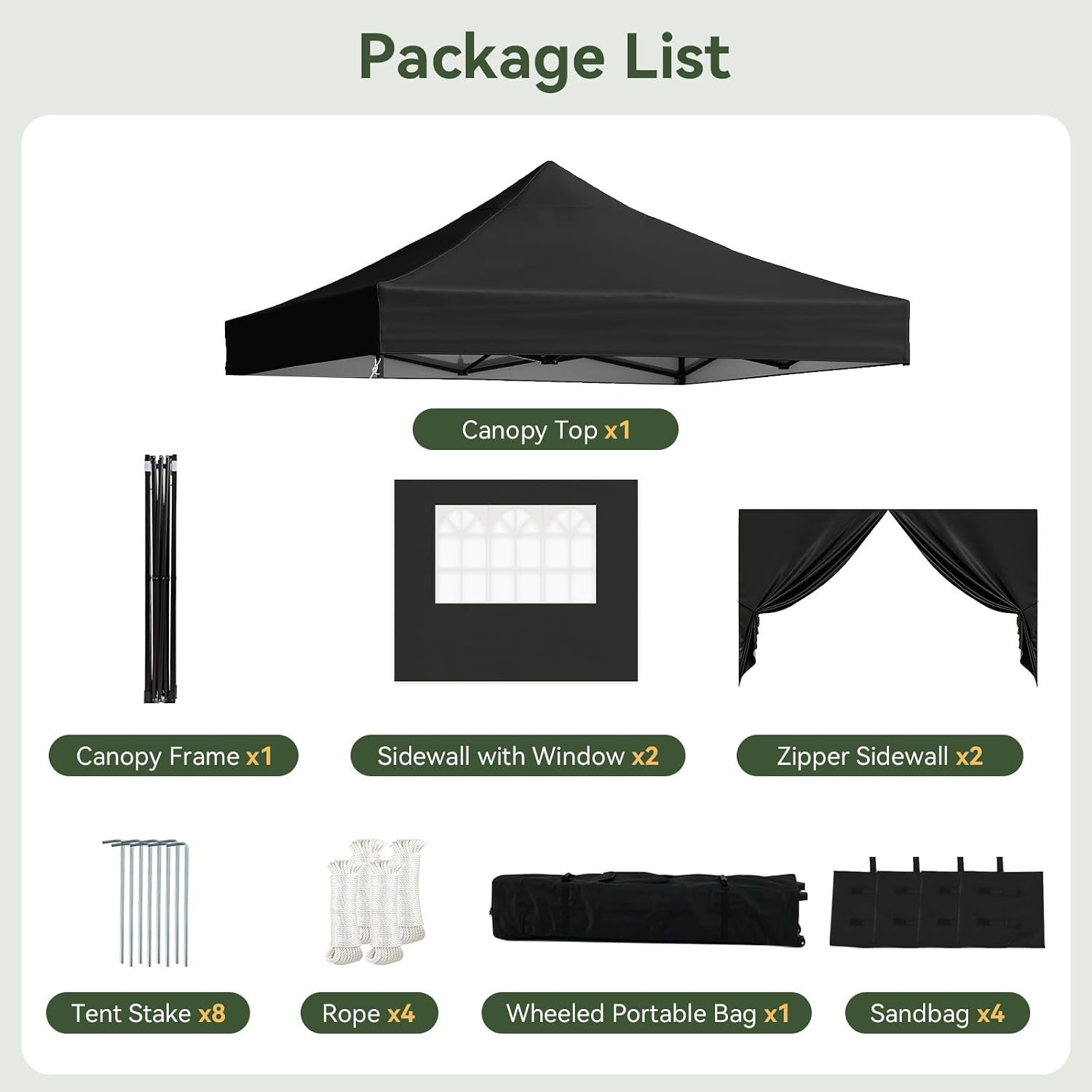 Aoxun 10x10 Pop up Canopy