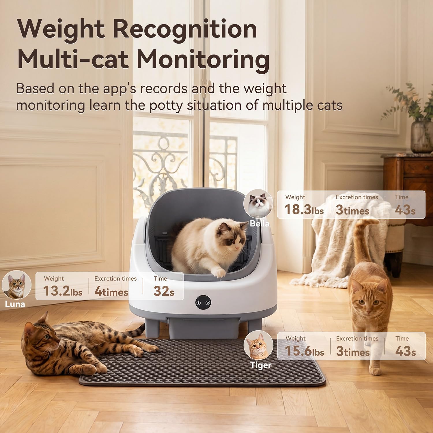 Aoxun Automatic Cat Litter Box