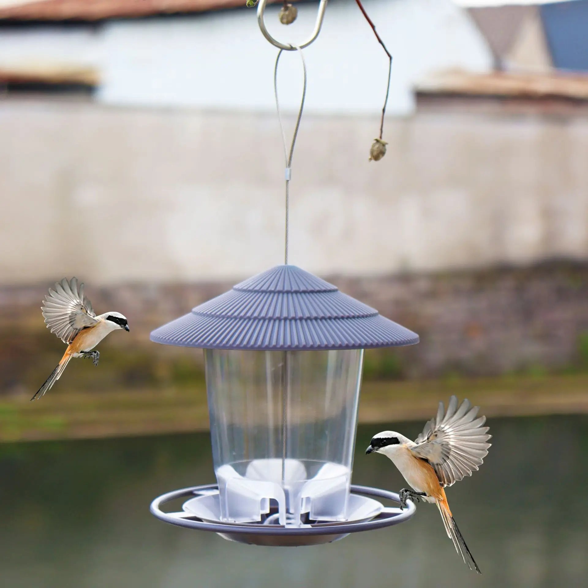 Gazebo Hanging Wild Bird Feeder