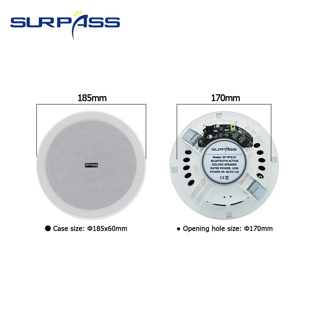 3D Stereo Bluetooth ceiling speaker with enceinte Built-in Embedded Amplifier